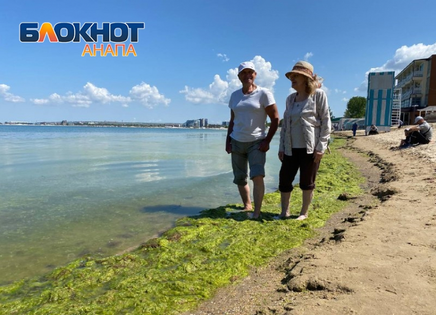 Все в порядке – камка на месте: туристы уже омолаживаются на пляжах Анапы