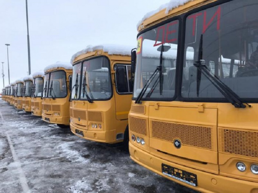 Анапские школы получили 11 новых автобусов