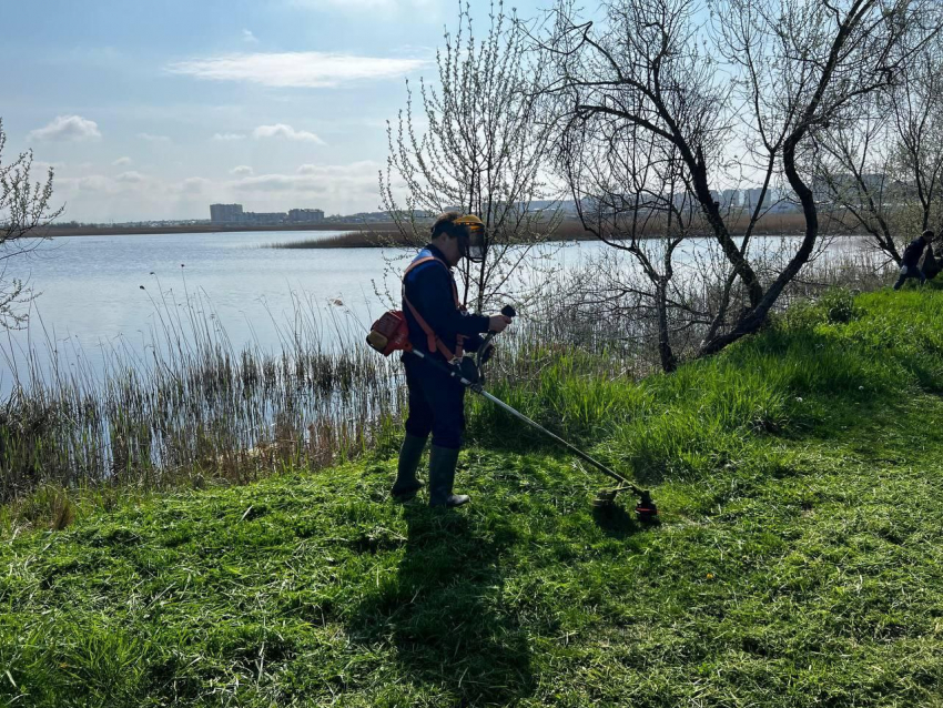 В Анапе проходит общегородской субботник