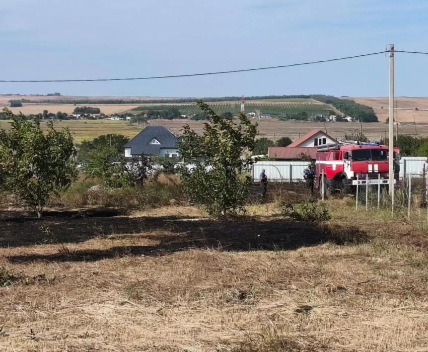 Жительница Анапы пожаловалась на заброшенные сельхозземли после пожара