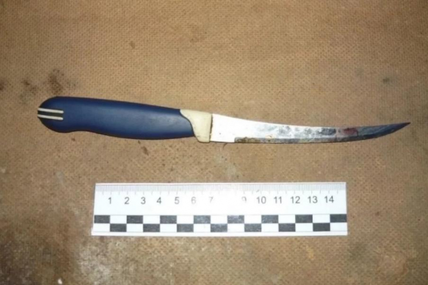 В Анапе задержали мужчину, ударившего ножом знакомого во время застолья. Пострадавший в реанимации