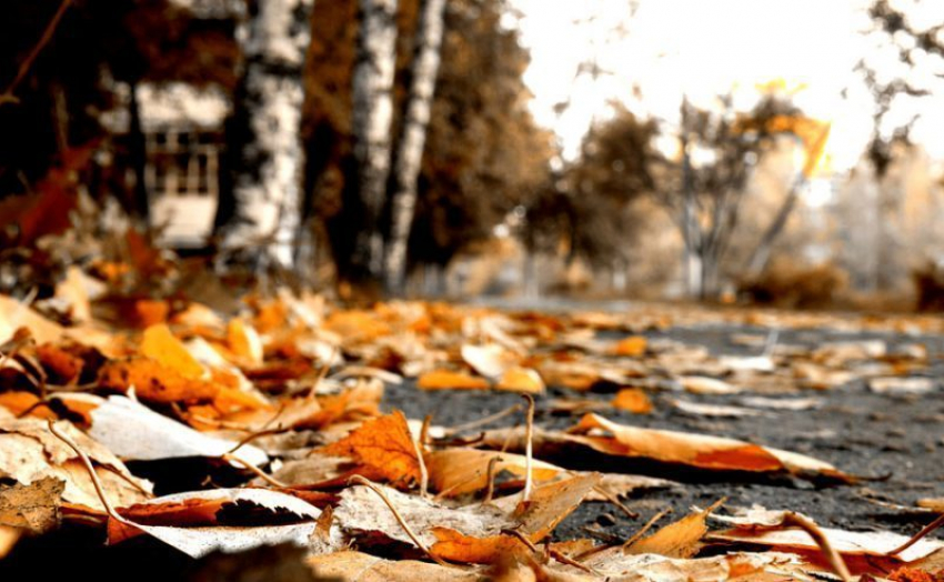 Во вторник, 28 ноября, анапчан ожидает малооблачная погода 