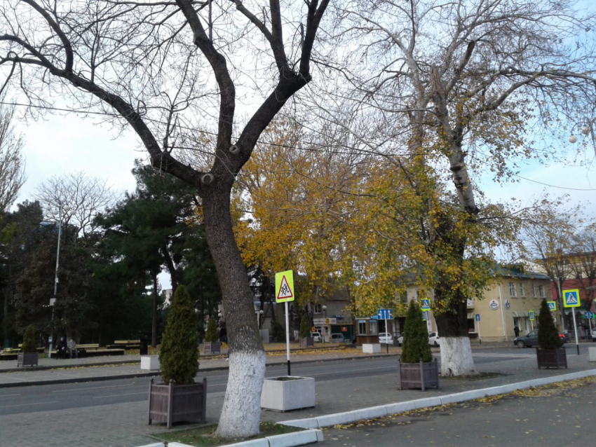 В первый день зимы в Анапе по-прежнему ветрено