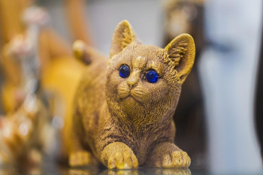 Кошки со всего мира уже в городе: выставка статуэток открылась в Анапском музее