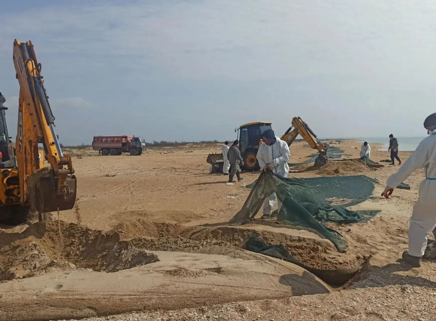 В Анапе завершают уборку защитных сетей с побережья