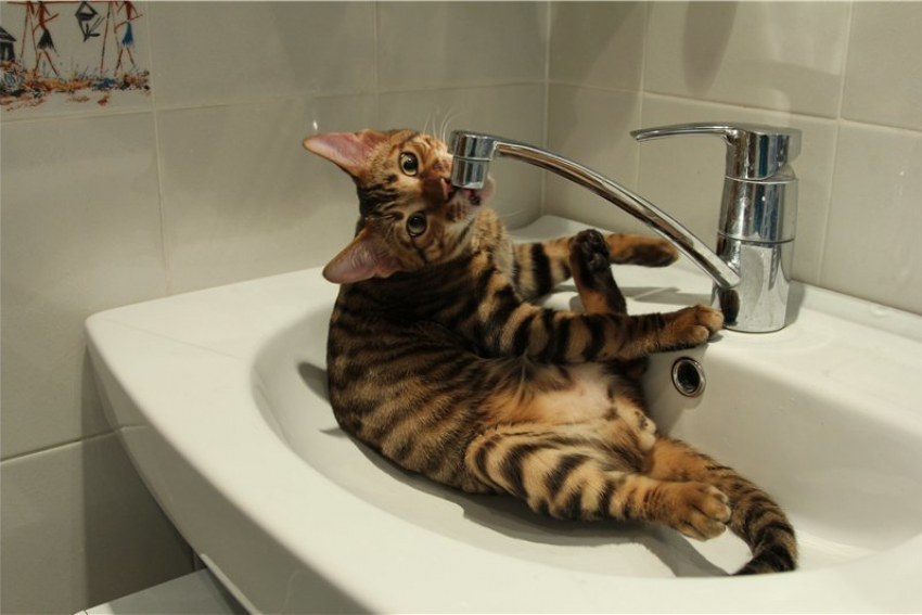 Где в Анапе отключат воду 27 и 28 августа