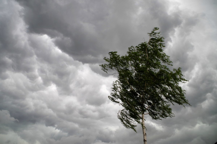 В ближайшие дни в Анапе возможны сильный ветер, град и грозы