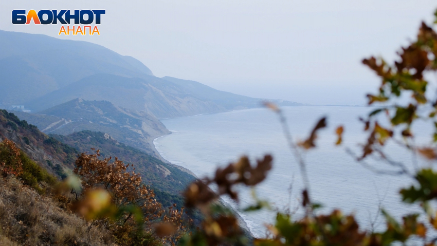 В Международный день похмелья в Анапе будет солнечно