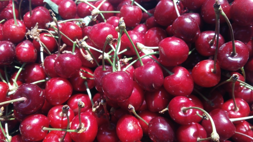 В Анапе уже поспели ранние сорта или что значит выражение:"Отвали, моя черешня»? 