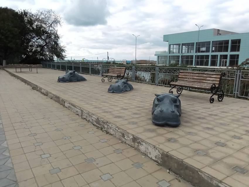 В Международный день анимации в Анапе солнца будет немного