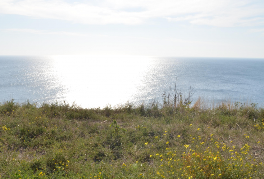 Сегодня, 22 октября, в Анапе тепло, до +21