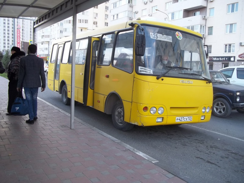 Полиция Анапы проверяет автобусы: техсостояние, документацию и соблюдение ПДД