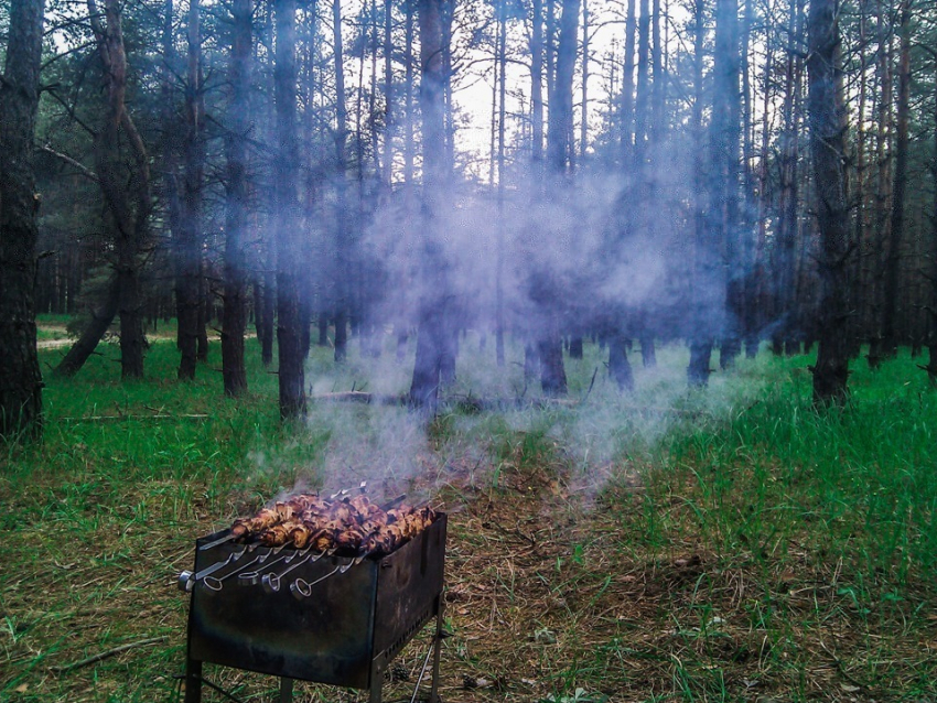 Выход на природу