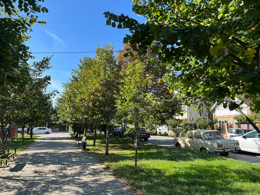 В Международный день шампанского в Анапе возможны дожди