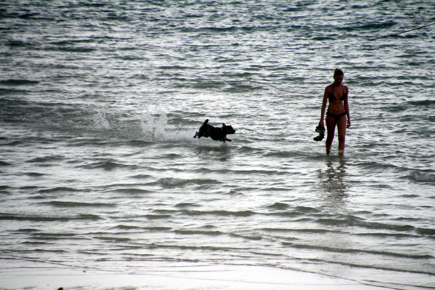 Анапчане возмущаются: в море на пляжах стирают нижнее белье и купают собак