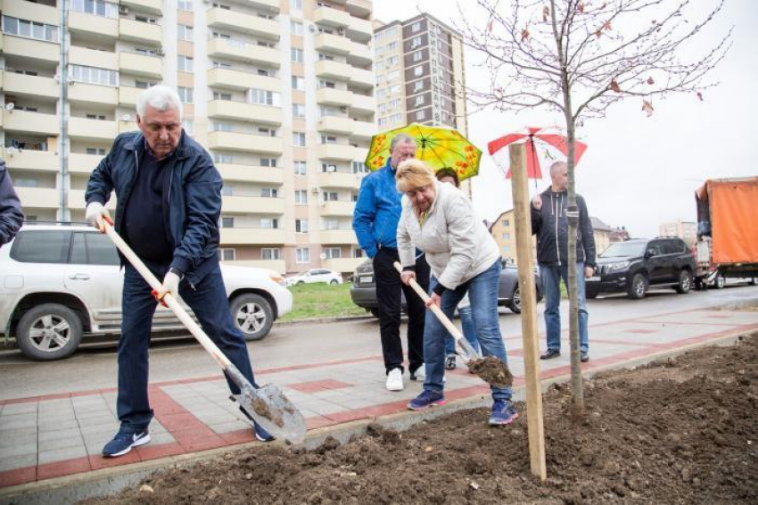 К озеленению сквера на бульваре Евскина приложил руку мэр Анапы