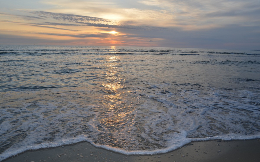 Анапа готовится к Дню Чёрного моря: решили провести на курорте экологическую акцию