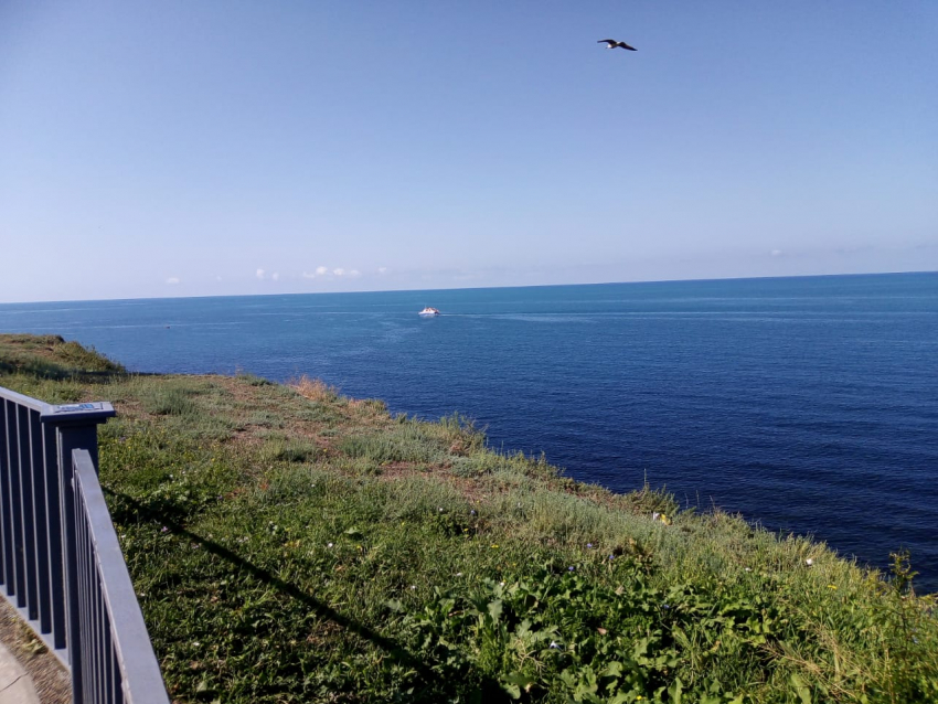 Сегодня, 26 сентября, в Анапе до +20