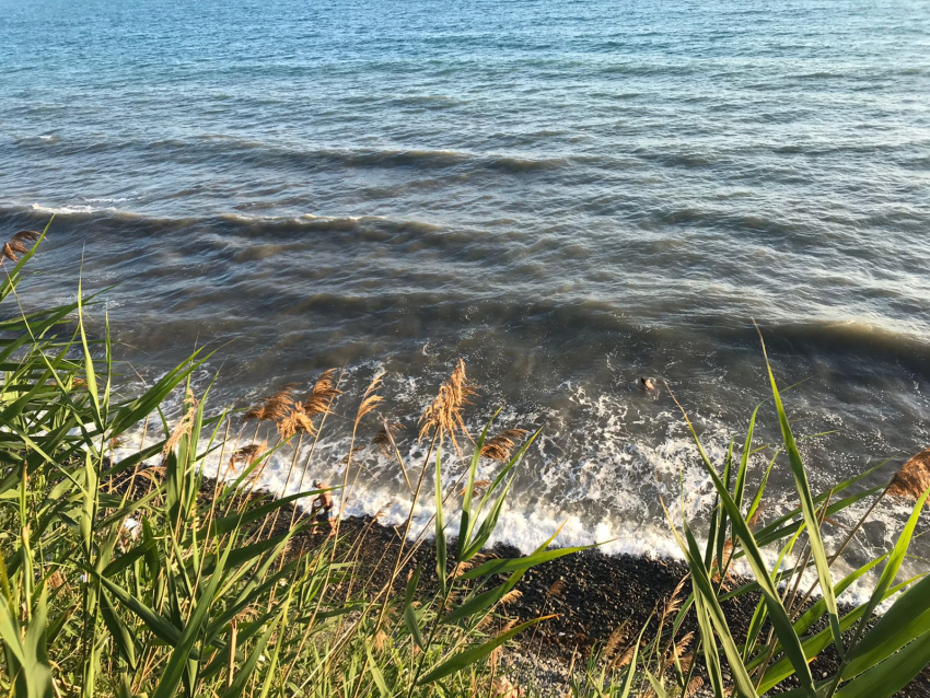 Гороскоп для анапчан с 10 по 16 июля: Скорпионы должны быть размеренны в делах