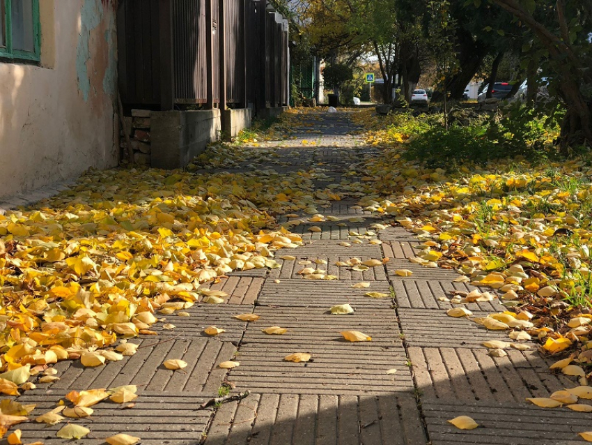 В День чистки зубов в Анапе по-прежнему пасмурно и тепло