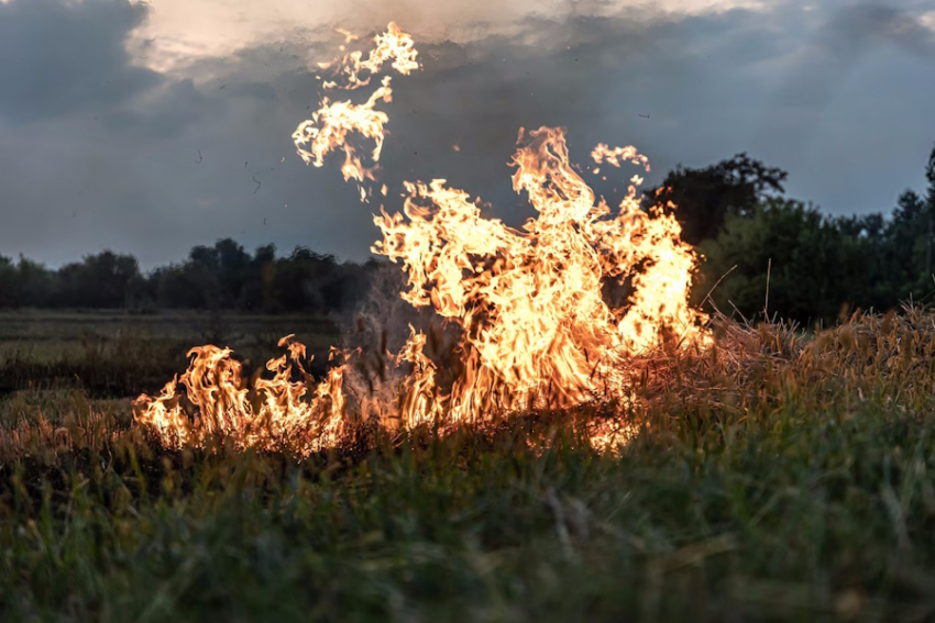 В Анапе зафиксировано 34 возгорания сухой травы