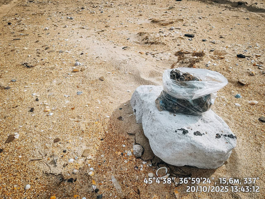 Новые выбросы мазута нашли волонтеры в Анапе 