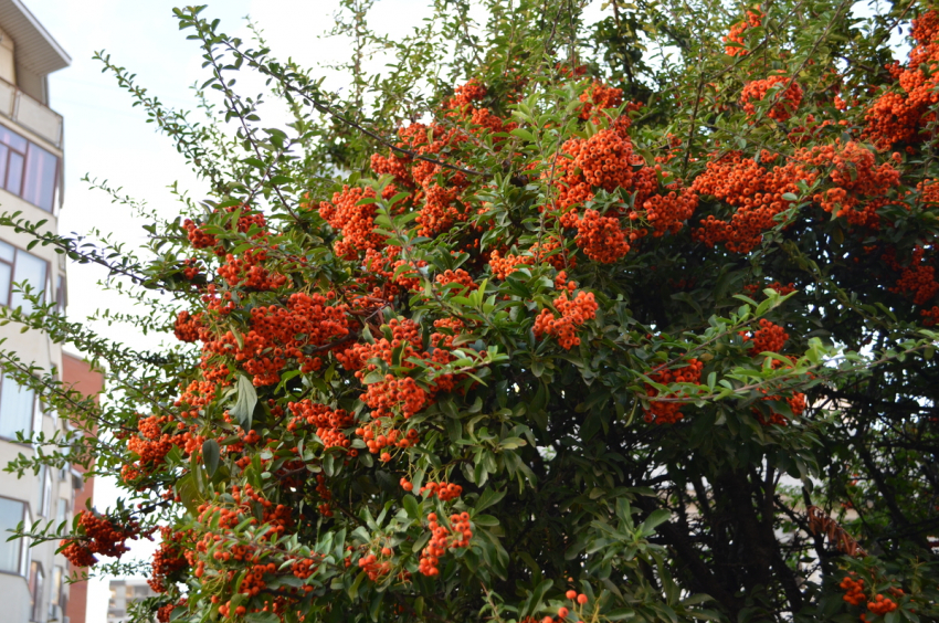 В Анапе по-прежнему ясно и тепло