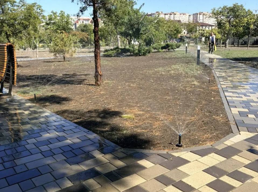 Часть парка «Ореховая роща» в Анапе временно закрыли