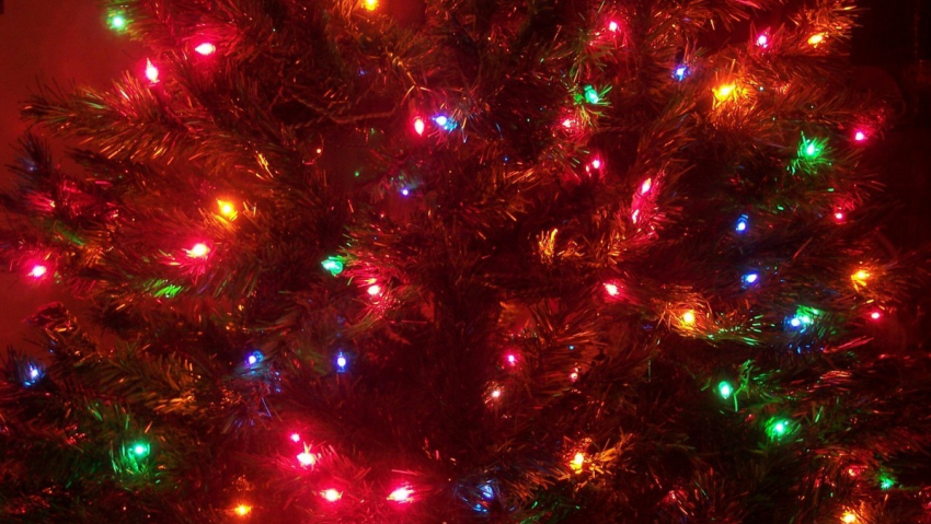 Где в Анапе посмотреть на огни первой новогодней ёлки?
