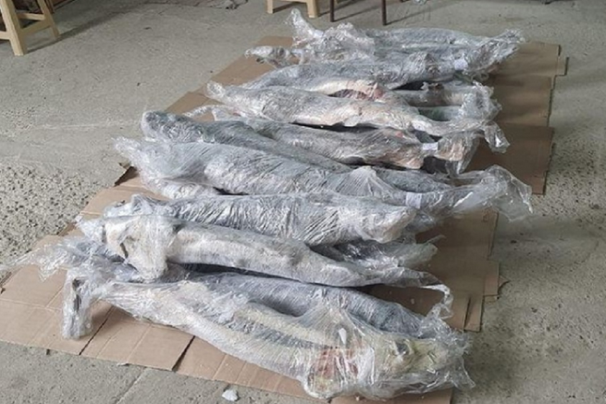 В Анапе полиция изъяла более полутоны немаркированных морепродуктов