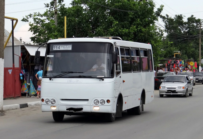 Волгоград витязево автобус