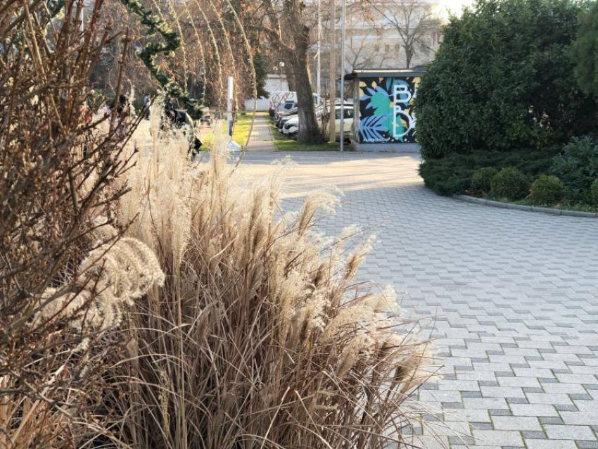 Международный день очкарика в Анапе начнётся с дождя