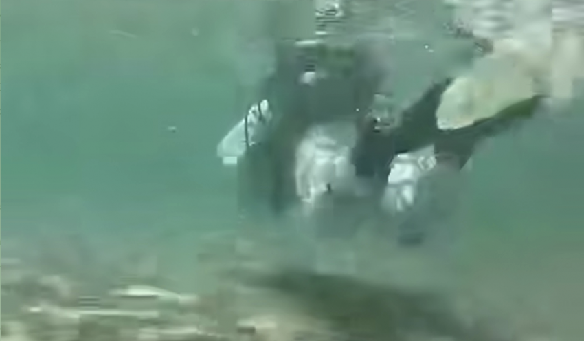 Искали мазут: что обнаружили дайверы на дне моря у Анапы