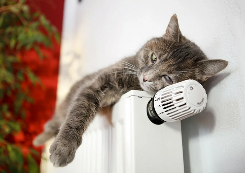 Отопления не будет: в Анапе досрочно завершают осенне-зимний сезон