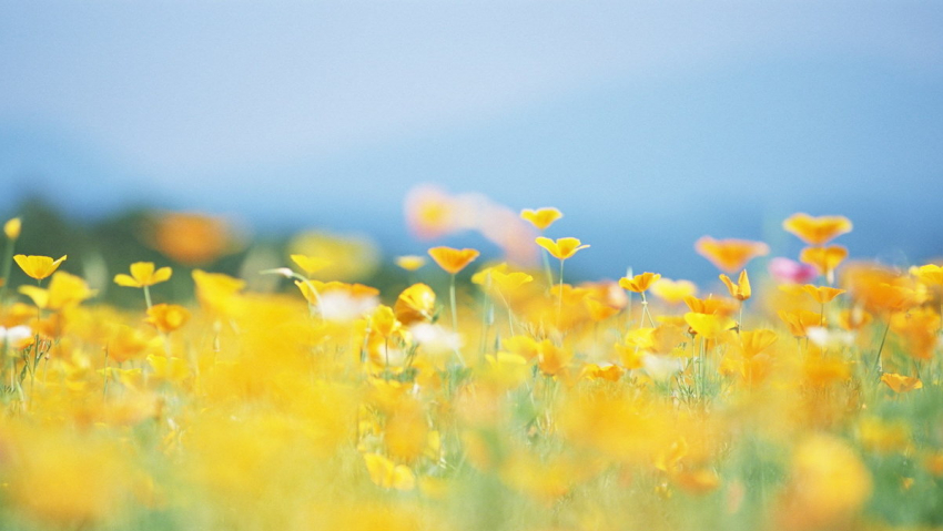 Погода в Анапе на 7 июня