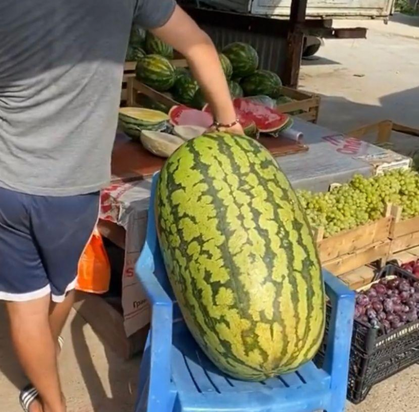 В Витязево под Анапой продают арбуз весом 70 килограмм