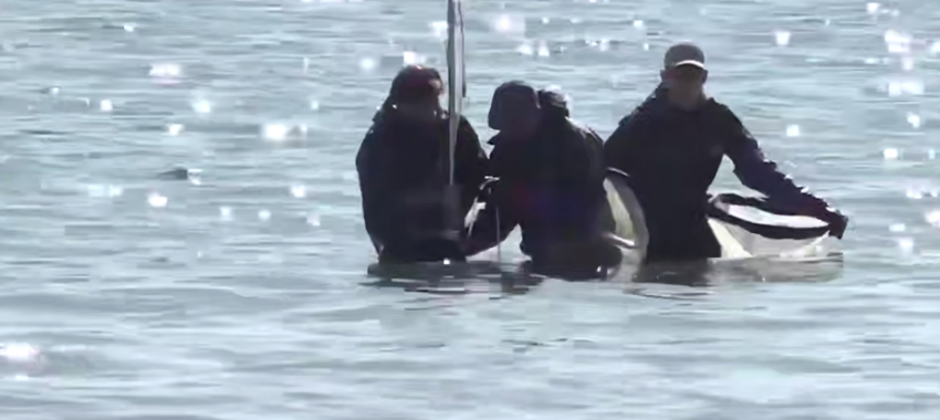 Ученые оценили восстановление морского дна после ЧС в Анапе