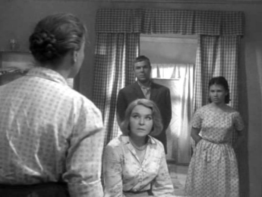 Летом 1964 года на станицу Анапскую обрушился настоящий «звездопад"