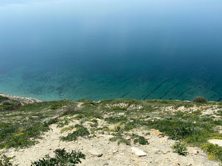 В День основания Российской книжной палаты в Анапе не будет жарко