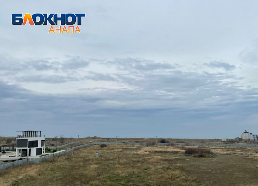 В Международный день прав животных в Анапе пасмурно и возможен небольшой дождь