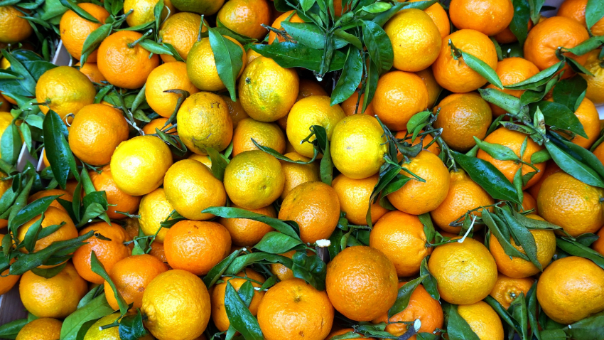 В Анапу едва не попало 657 тонн заражённых мандарин и апельсинов