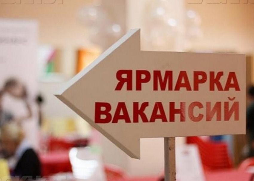 6 июля анапчанам будут помогать искать работу 