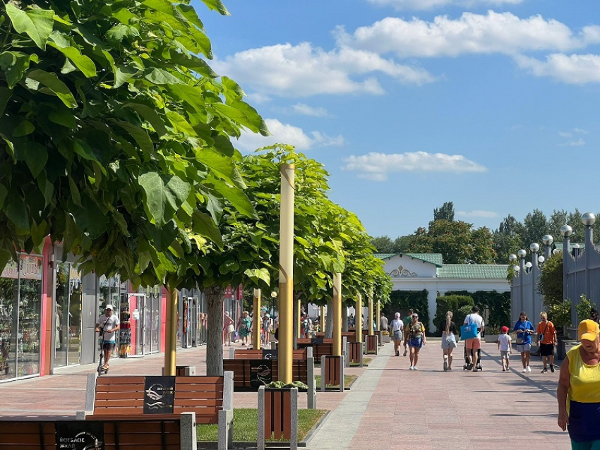 В День лазания по деревьям в Анапе жара еще чуточку спадет