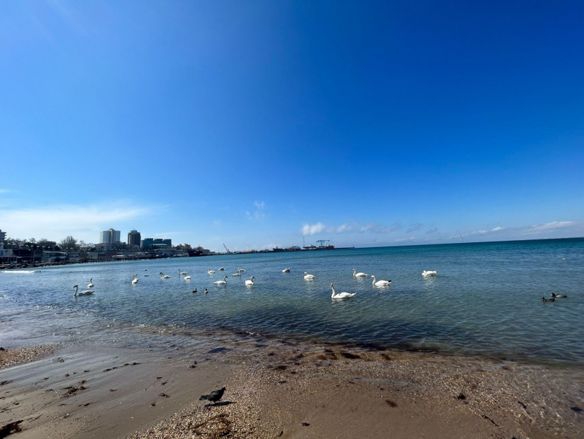 Гороскоп для анапчан с 10 по 16 апреля: Весам не стоит сравнивать себя с другими