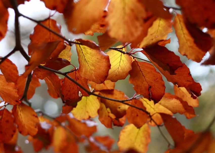 Облачное небо и слабый ветер ожидают анапчан 9 ноября