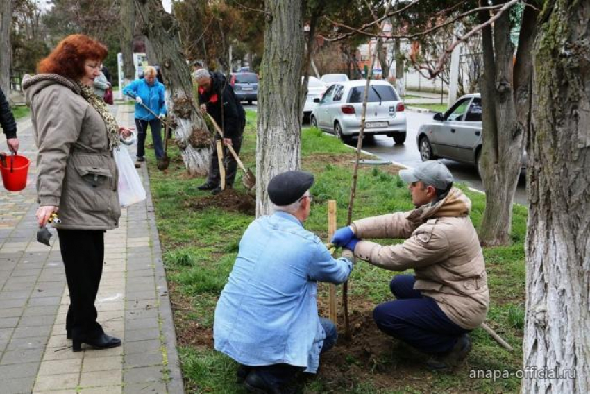 На Всекубанском субботнике анапчане могут помочь сделать свой город более чистым и ухоженным 