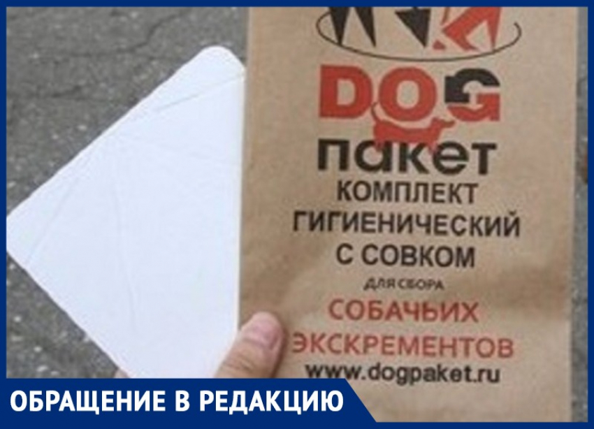 Анапчанин рассказал, что такое дог-боксы и почему они очень нужны в Анапе 