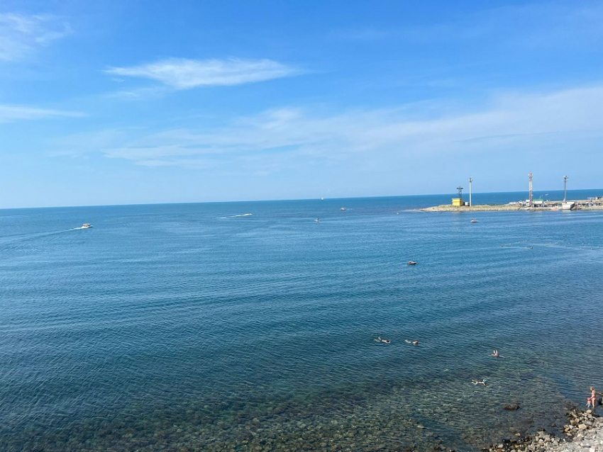 В Российский день леса в Анапе будет не очень солнечно