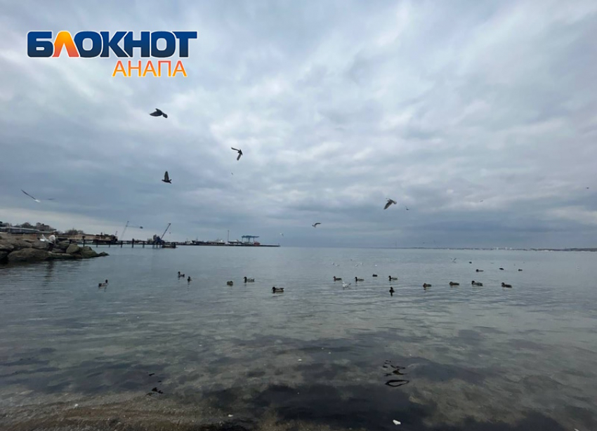 День рождения резиновых калош в Анапе будет сильный дождь