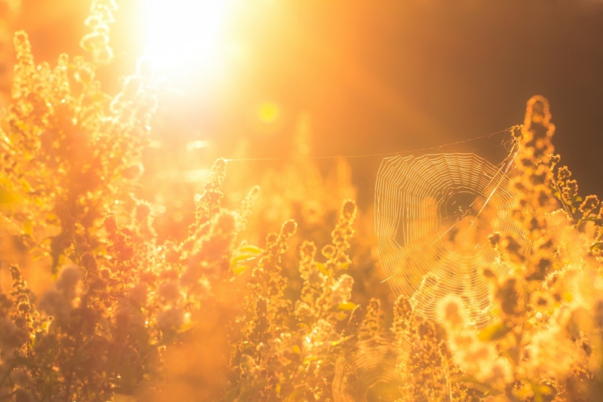 3 июля в Анапе поднимется температура